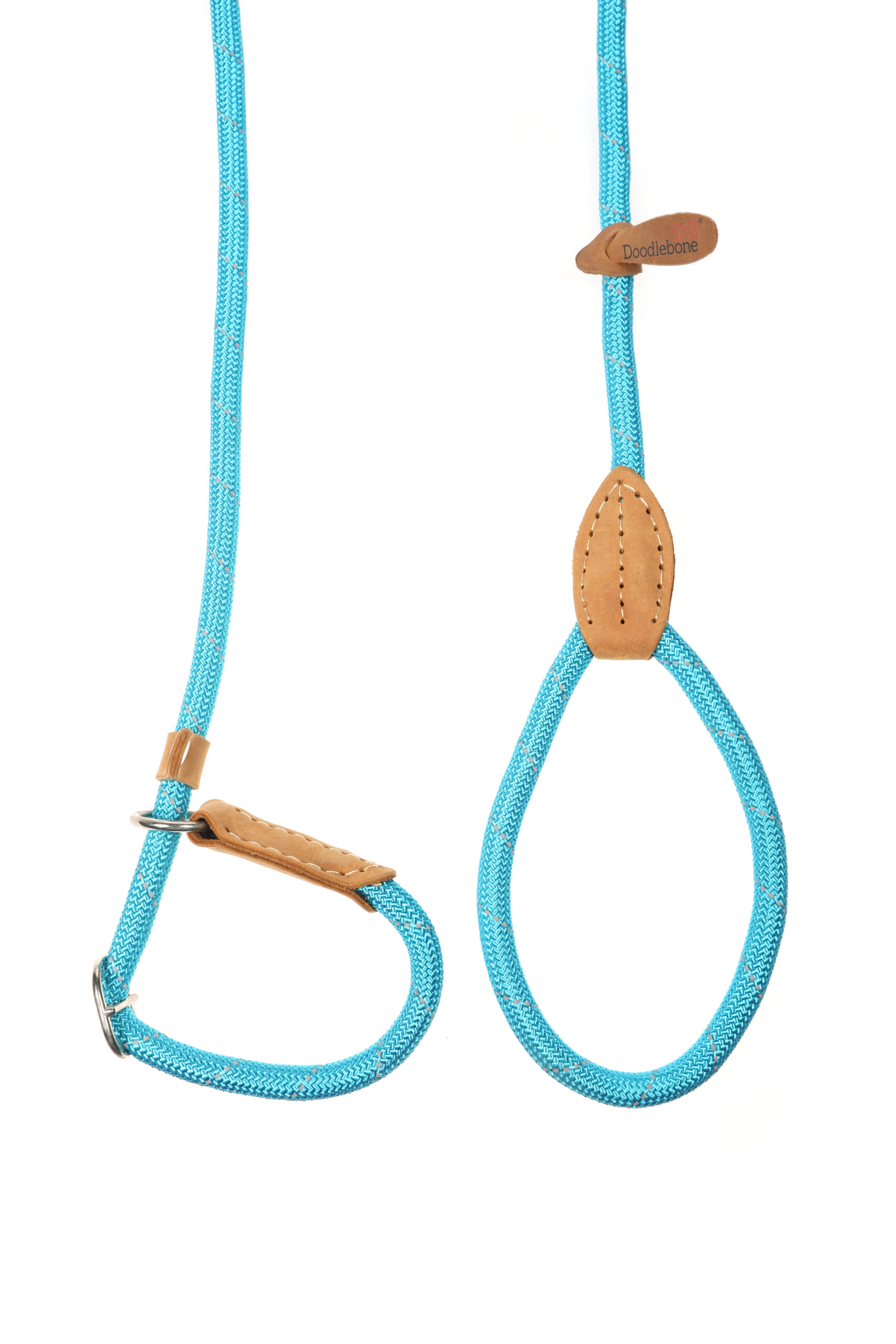 Doodlebone Originals Aqua Blue Rope Dog Slip Lead