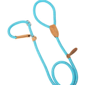 Doodlebone Originals Aqua Blue Rope Dog Slip Lead