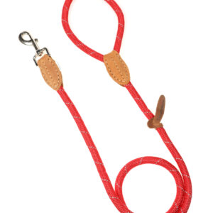 Doodlebone Originals Red Rope Dog Lead