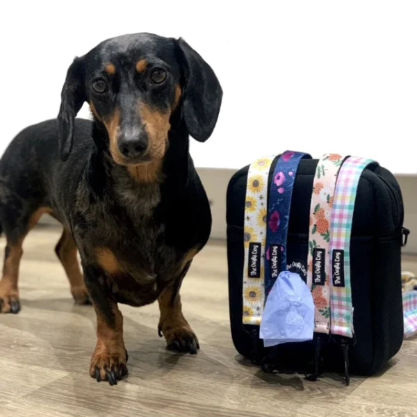 The Crafty Dog Adventure Dog Walking Bag