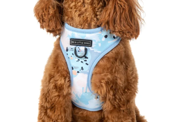 Big & Little Dogs Blue Splatter Terrazzo Adjustable Dog Harness