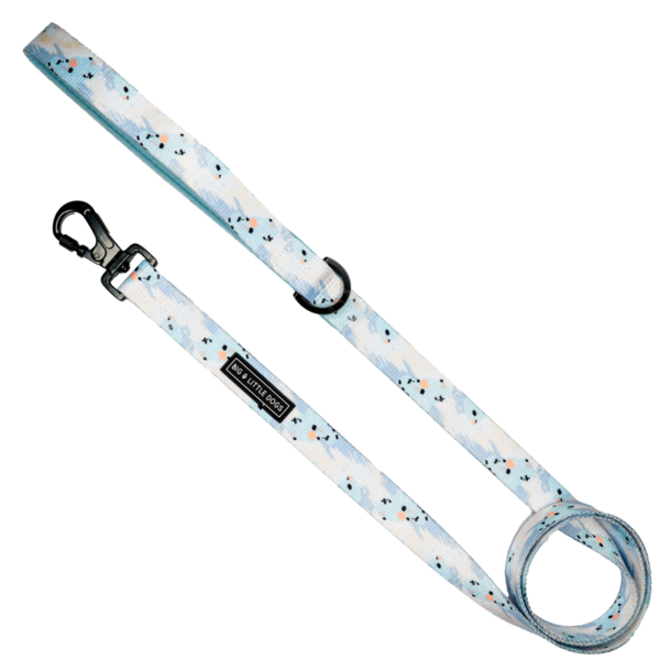 Big & Little Dogs Blue Splatter Terrazzo Dog Lead