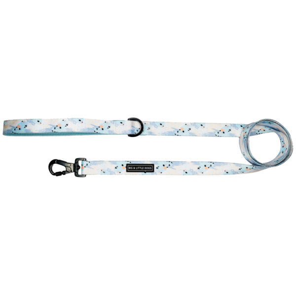 Big & Little Dogs Blue Splatter Terrazzo Dog Lead