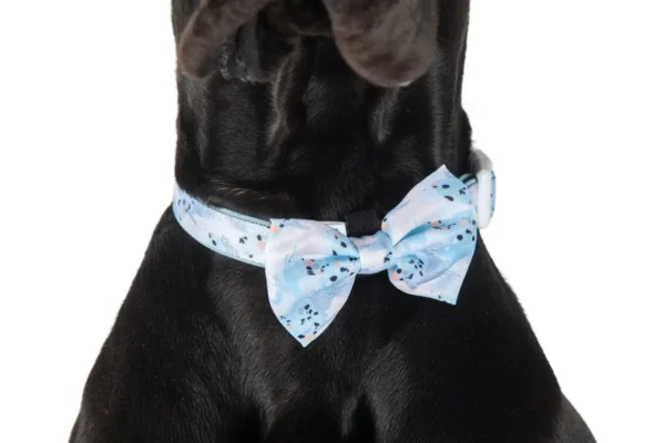 Big & Little Dogs Blue Splatter Terrazzo Dog Collar and Detachable Bow Tie