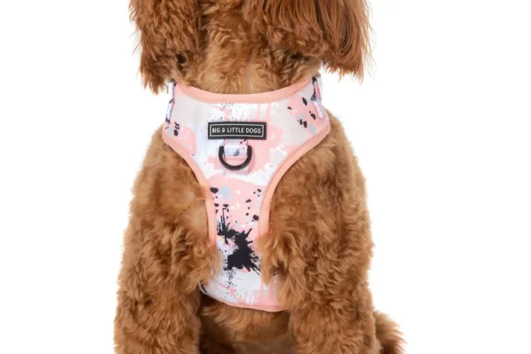 Big & Little Dogs Peach Splatter Terrazzo Adjustable Dog Harness