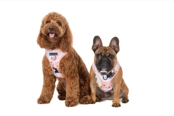 Big & Little Dogs Peach Splatter Terrazzo Adjustable Dog Harness