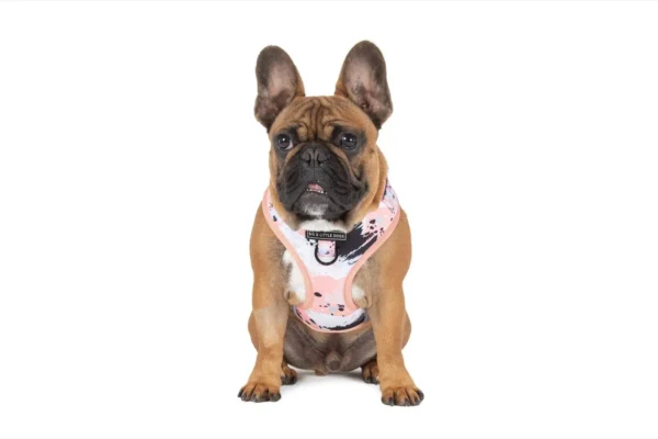 Big & Little Dogs Peach Splatter Terrazzo Adjustable Dog Harness