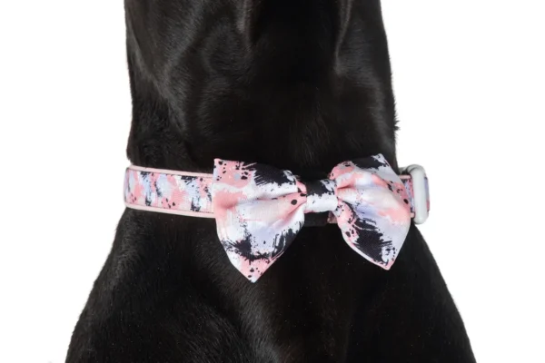 Big & Little Dogs Peach Splatter Terrazzo Dog Collar and Detachable Bow Tie