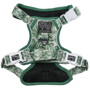 Big & Little Dogs 'Lost In Paradise' All-Rounder Dog Harness