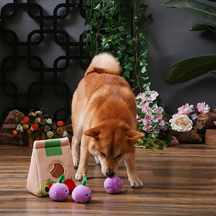 HugSmart Grocery Bag Hide Seek Dog Toy