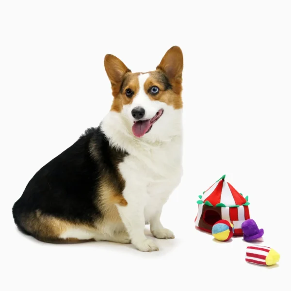 HugSmart Happy Circus Hide & Seek Interactive Dog Toy