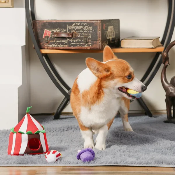 HugSmart Happy Circus Hide & Seek Interactive Dog Toy