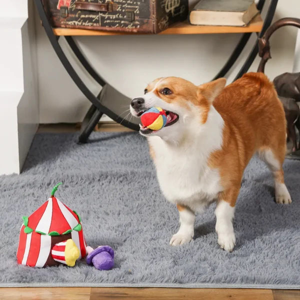 HugSmart Happy Circus Hide & Seek Interactive Dog Toy