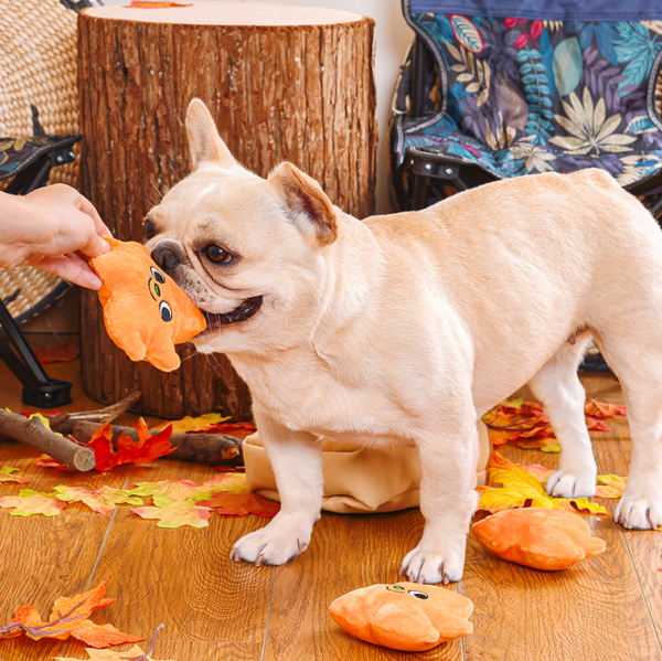 HugSmart Autumn Tailz Leaf Bag Hide & Seek Interactive Dog Toy