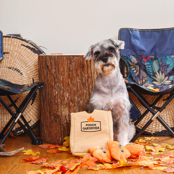 HugSmart Autumn Tailz Leaf Bag Hide & Seek Interactive Dog Toy