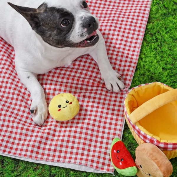 HugSmart Picnic Basket Hide & Seek Interactive Dog Toy