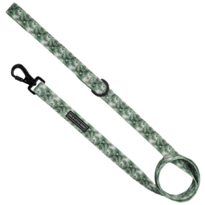 The Big & Little Dogs Lost In Paradise Dog Lead