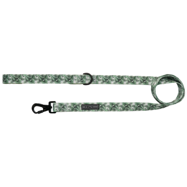 The Big & Little Dogs Lost In Paradise Dog Lead