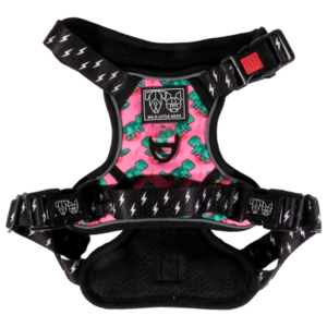 Big & Little Dogs Princess-asaurus All-Rounder Dog Harness