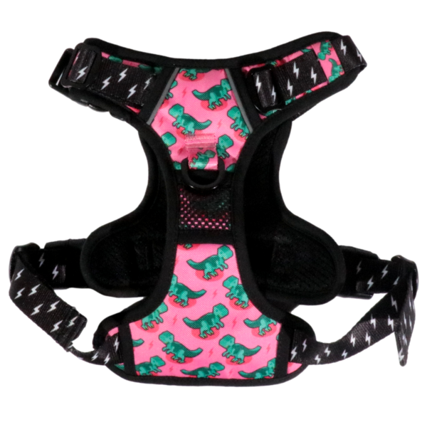 Big & Little Dogs Princess-asaurus All-Rounder Dog Harness