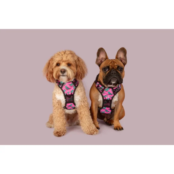 Big & Little Dogs Princess-asaurus All-Rounder Dog Harness