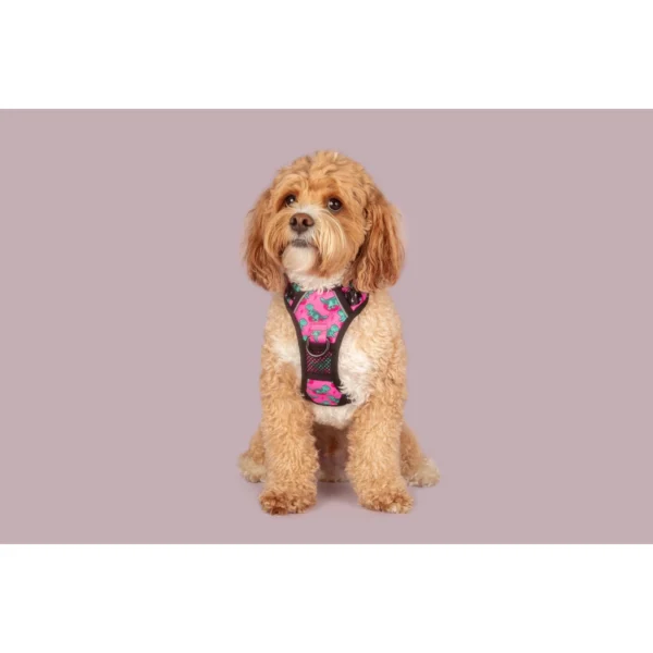 Big & Little Dogs Princess-asaurus All-Rounder Dog Harness