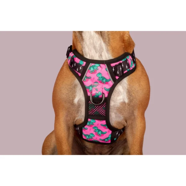 Big & Little Dogs Princess-asaurus All-Rounder Dog Harness