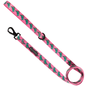 Big & Little Dogs 'Princess-asaurus' Dinosaur Print Dog Lead