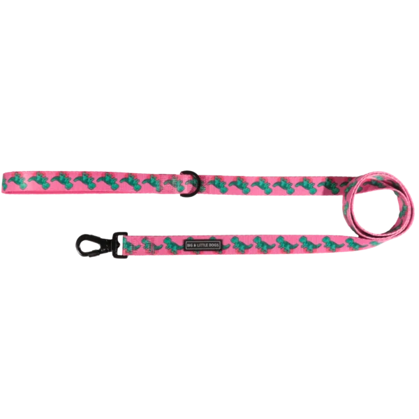 Big & Little Dogs 'Princess-asaurus' Dinosaur Print Dog Lead