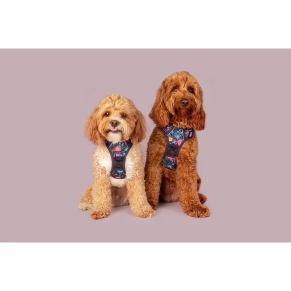 Big & Little Dogs Stop & Smell the Flowers All-Rounder Dog Harness