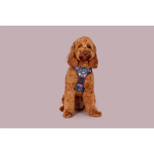 Big & Little Dogs Stop & Smell the Flowers All-Rounder Dog Harness