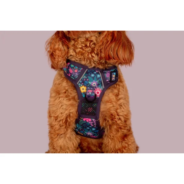 Big & Little Dogs Stop & Smell the Flowers All-Rounder Dog Harness