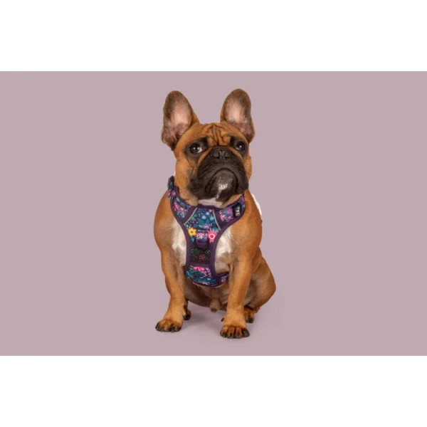 Big & Little Dogs Stop & Smell the Flowers All-Rounder Dog Harness