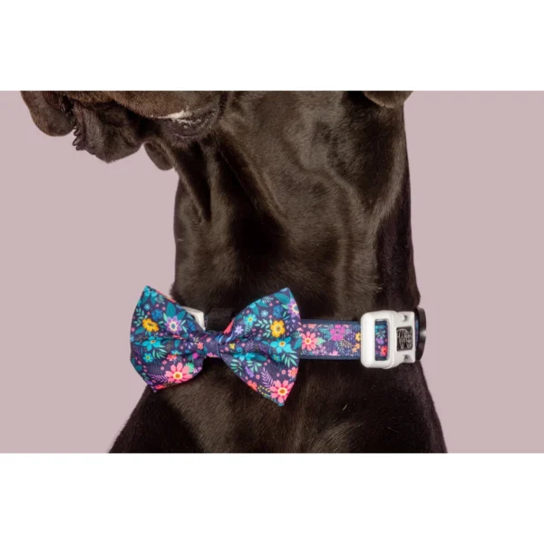 Big & Little Dogs Stop & Smell the Flowers Adjustable Dog Collar