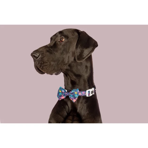 Big & Little Dogs Stop & Smell the Flowers Adjustable Dog Collar