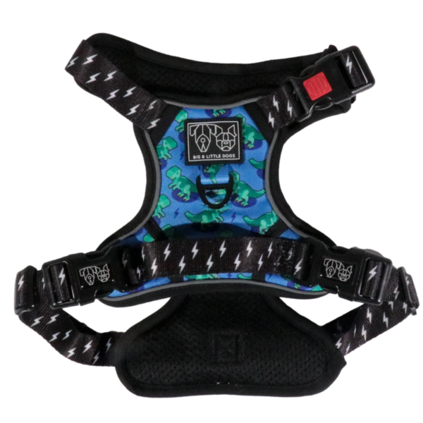 Big & Little Dogs Rawr All-Rounder Dog Harness