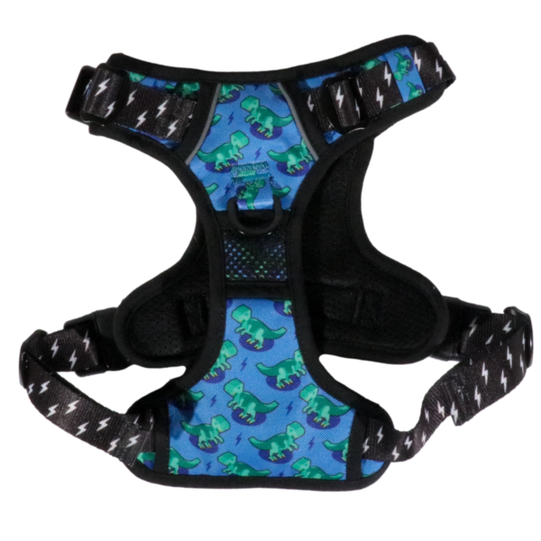 Big & Little Dogs Rawr All-Rounder Dog Harness