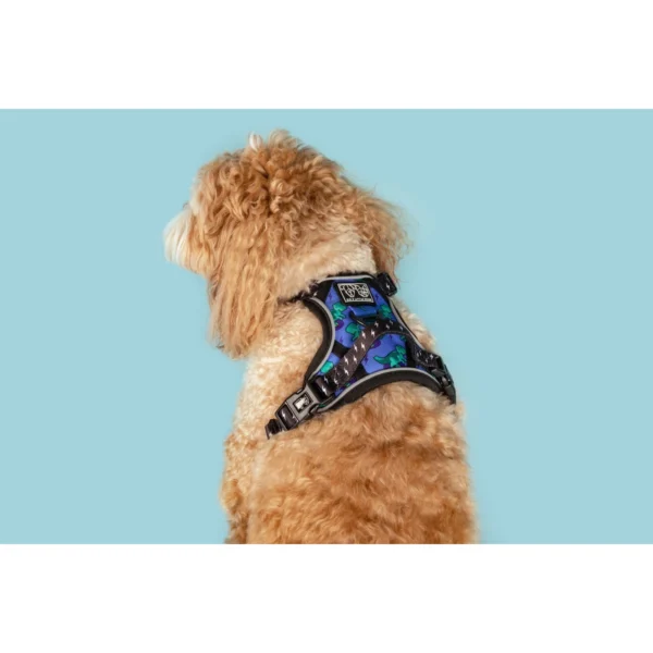 Big & Little Dogs Rawr All-Rounder Dog Harness