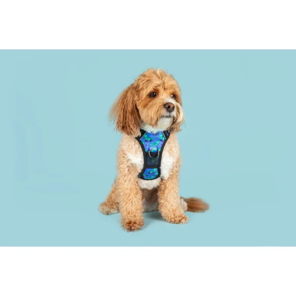 Big & Little Dogs Rawr All-Rounder Dog Harness