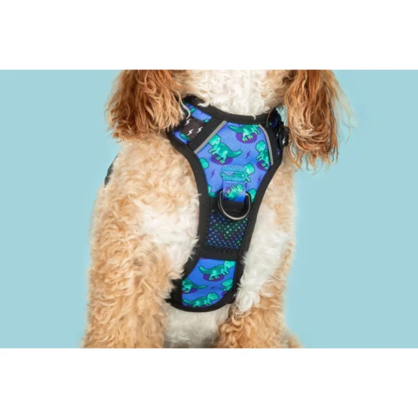 Big & Little Dogs Rawr All-Rounder Dog Harness