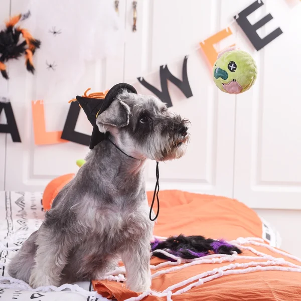 HugSmart Zombie Squeaky Ball Halloween Dog Toy