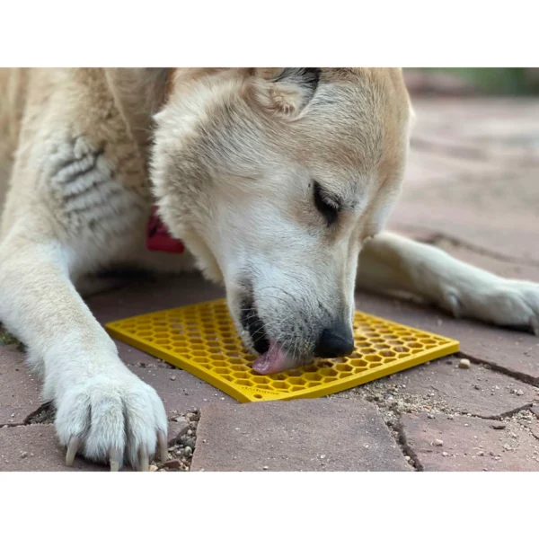 SodaPup Honeycomb Design Enrichment Lick Mat