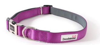 Doodlebone Bold Purple Padded Dog Collar