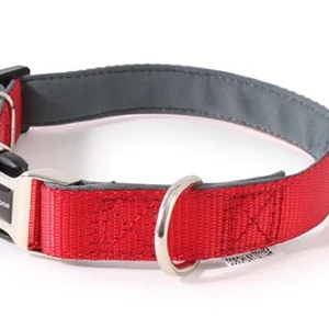 Doodlebone Bold Red Padded Dog Collar