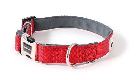 Doodlebone Bold Red Padded Dog Collar