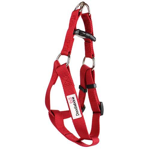 Doodlebone bold dog harness outlet