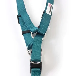 Doodlebone Bold Teal Adjustable Dog Harness