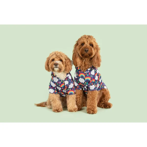 Big & Little Dogs 'Don't Rain on my Parade' Rainbow Print Waterproof Dog Raincoat