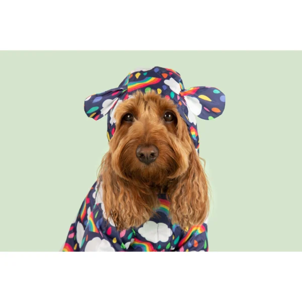 Big & Little Dogs 'Don't Rain on my Parade' Rainbow Print Waterproof Dog Raincoat