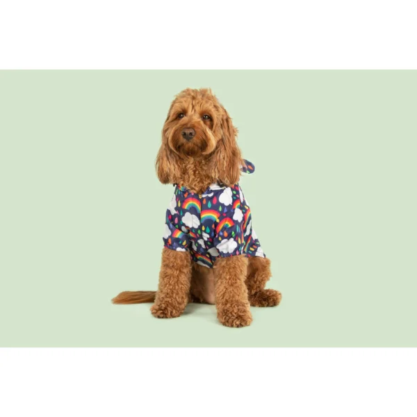 Big & Little Dogs 'Don't Rain on my Parade' Rainbow Print Waterproof Dog Raincoat